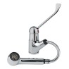 Idral kitchen mixer with pull-out spray and clinical lever