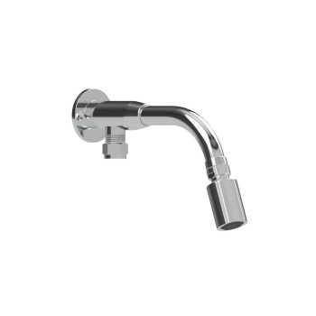 Vandalproof Shower Arm with Swivel Shower Head - Brass