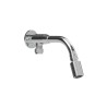 Vandalproof Shower Arm with Swivel Shower Head - Brass